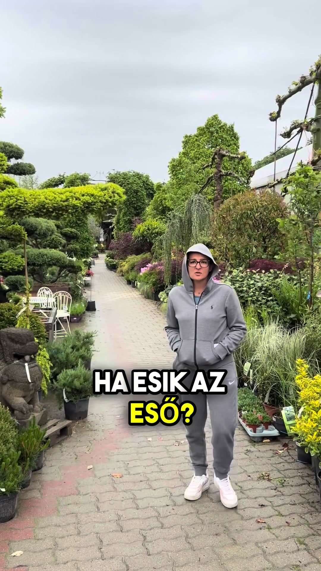 @Jámbor Fanni