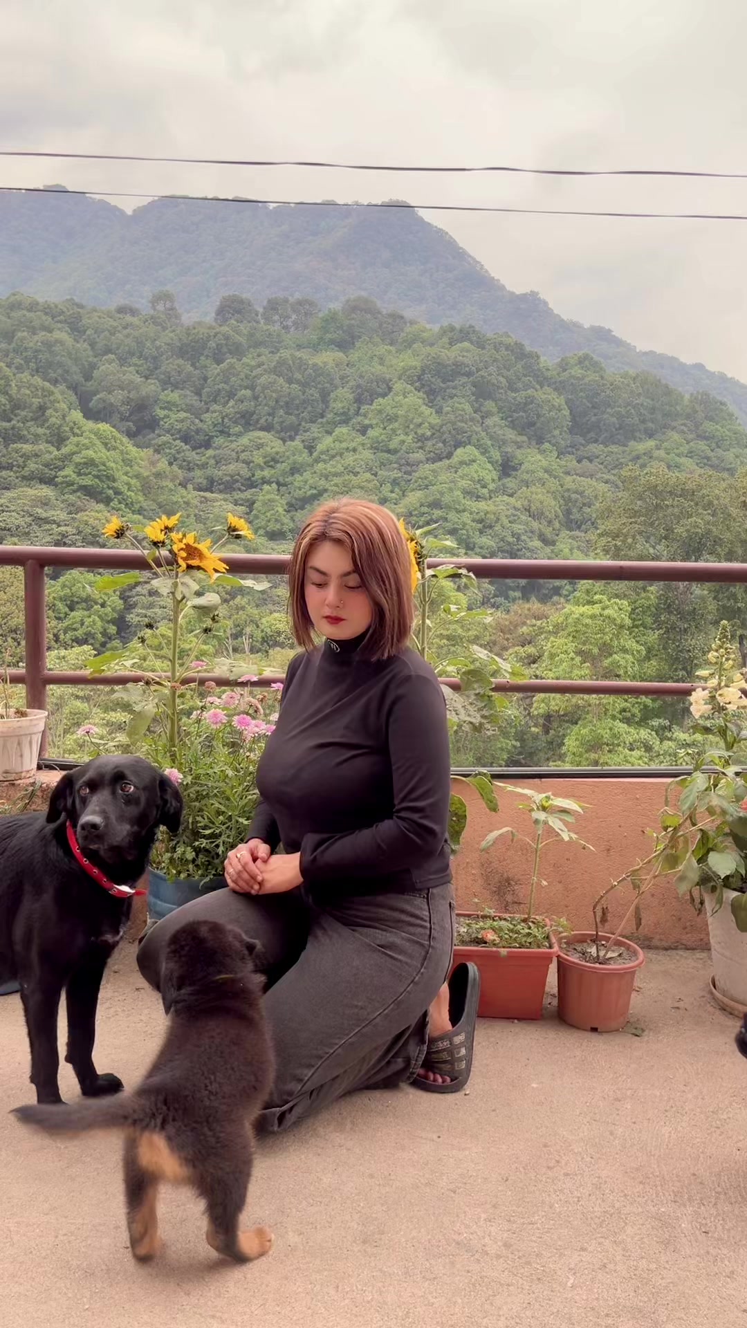 @Priyanka 🦋