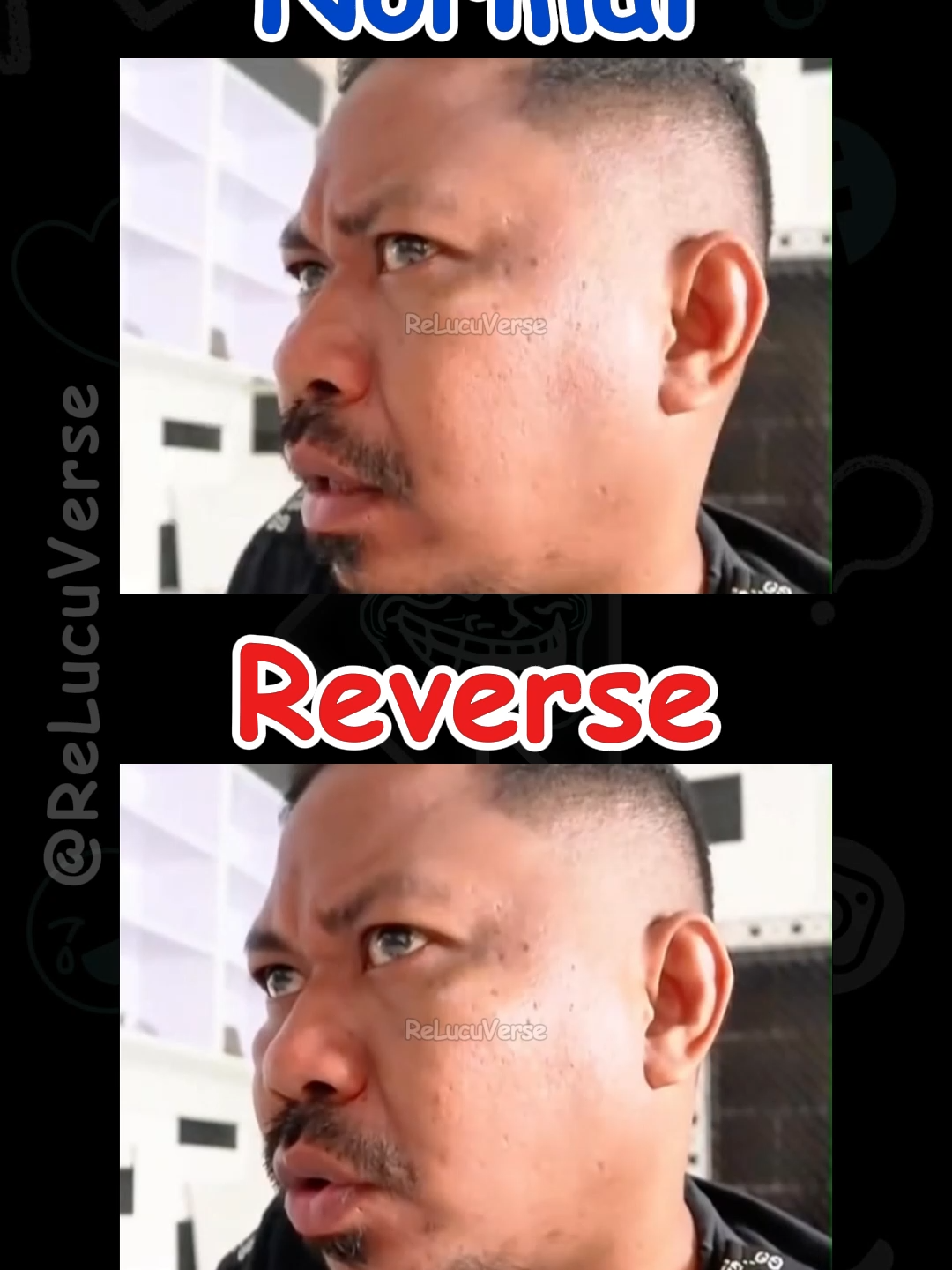 @ReLucuVerse