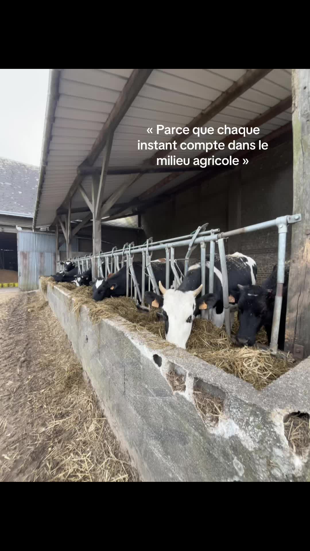 @Océane 🐄🌾