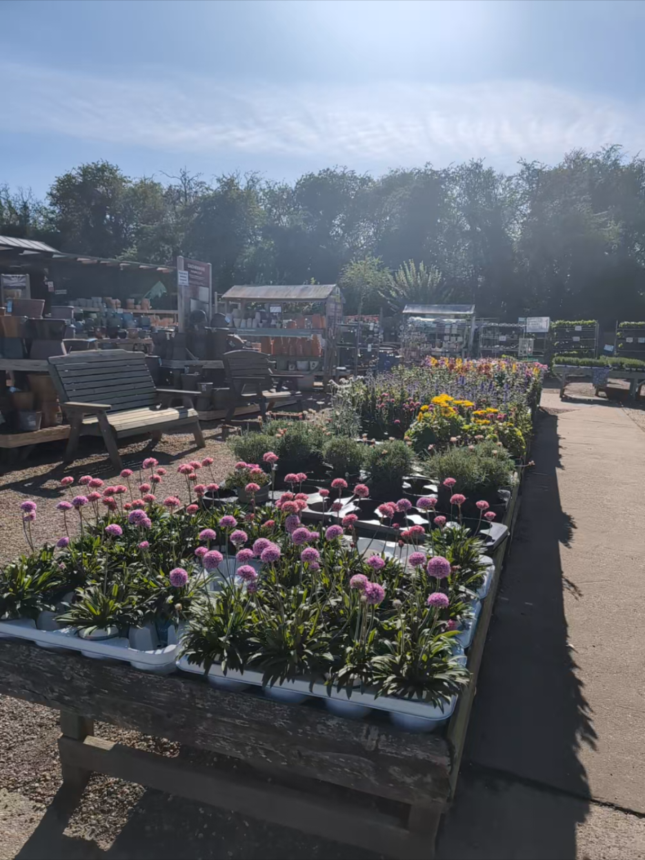 @Moores Nurseries