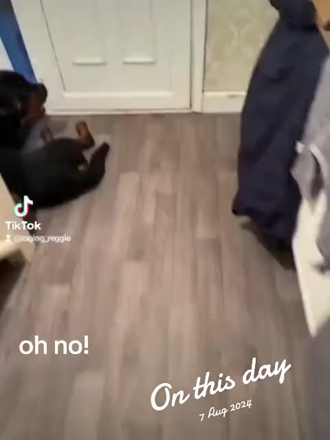 @Reggie the Rott