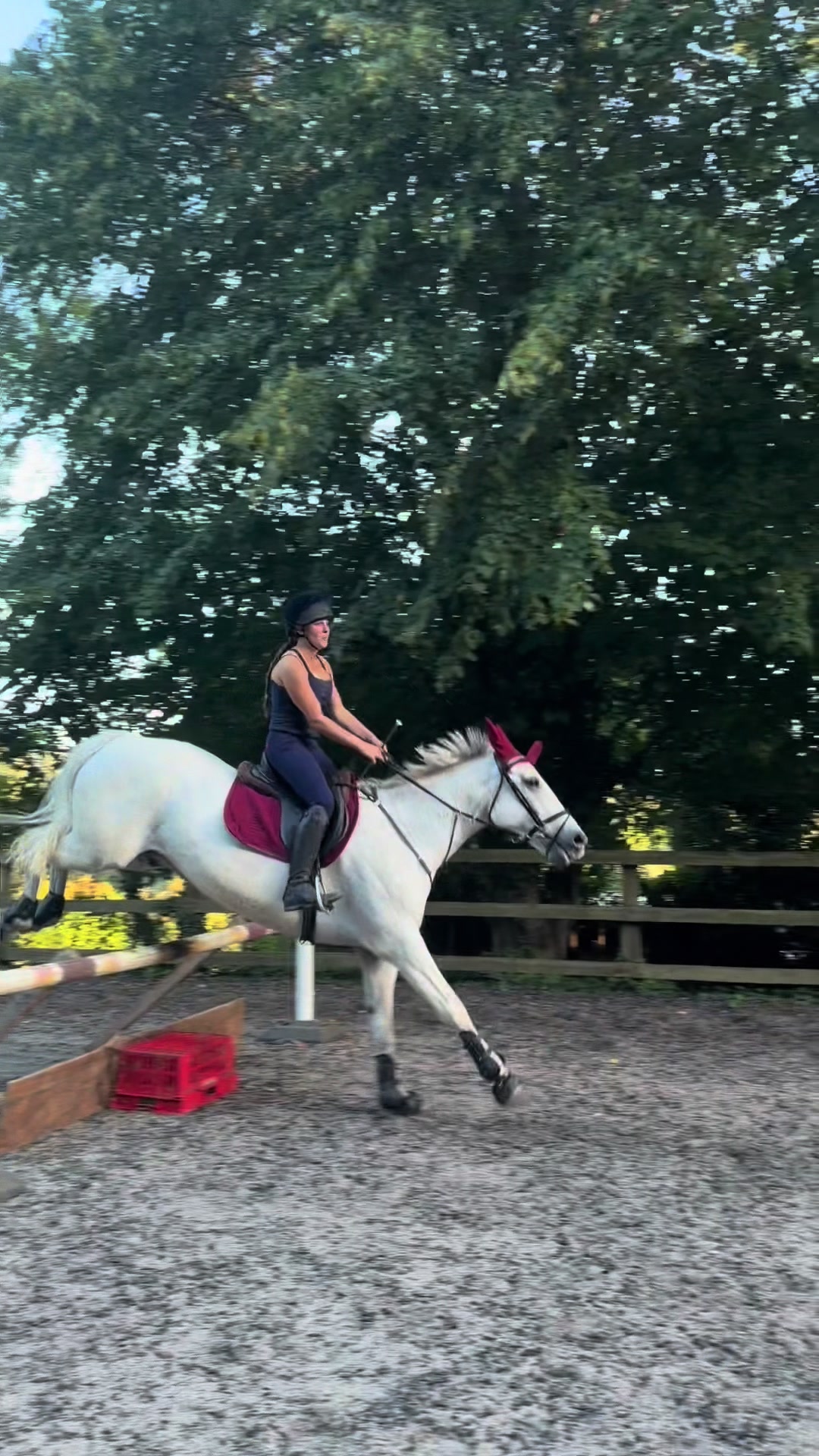 @Equ🐎:all the gear no idea🫶✌️