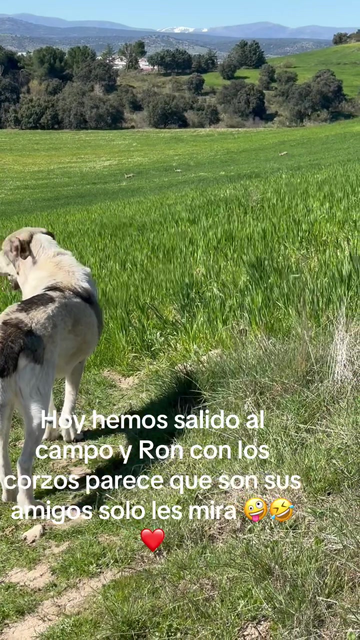 @patushiiiii