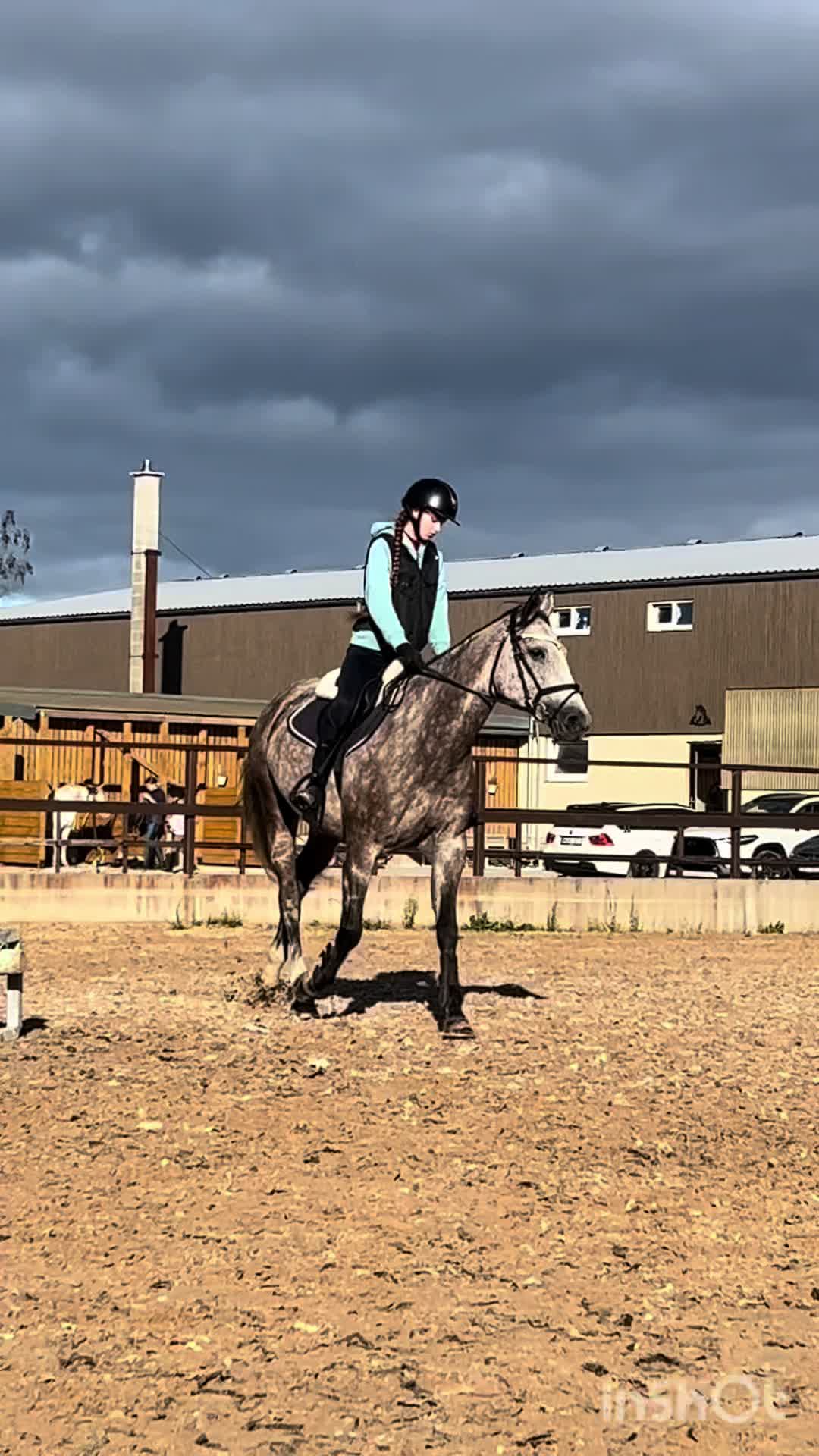 @🐴