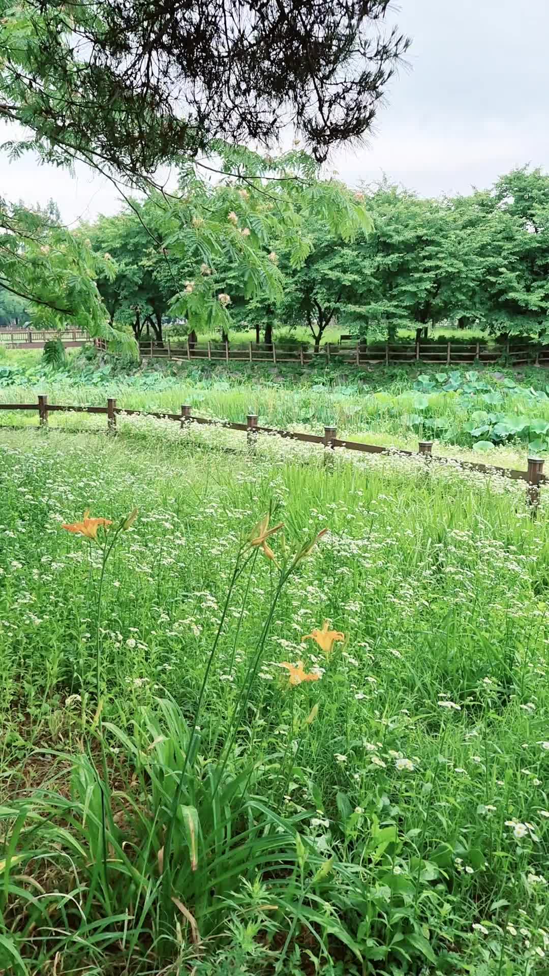 @캔디