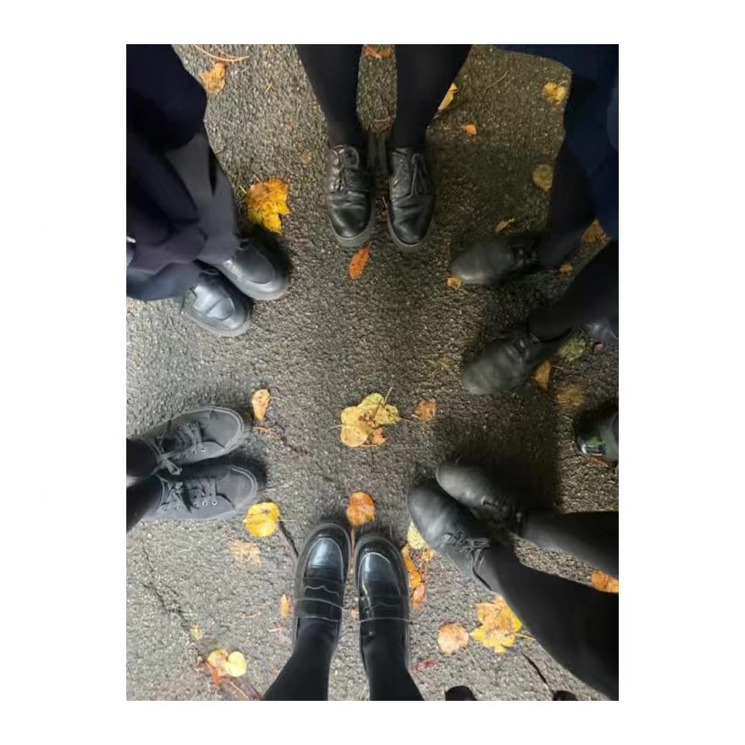 @belle❀⋆