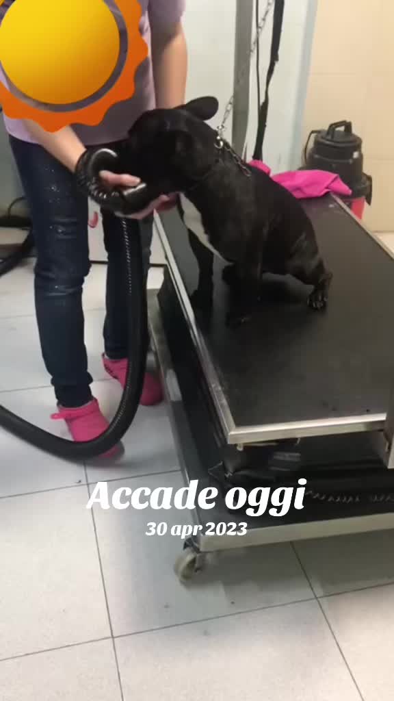 @Apolide