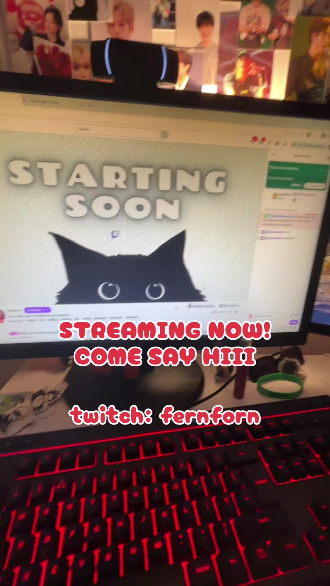 @Fern <3 streamer 😝