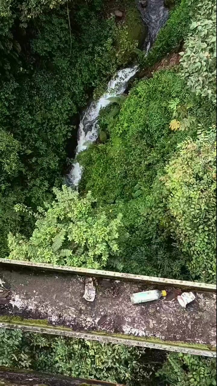 @whatever.in
