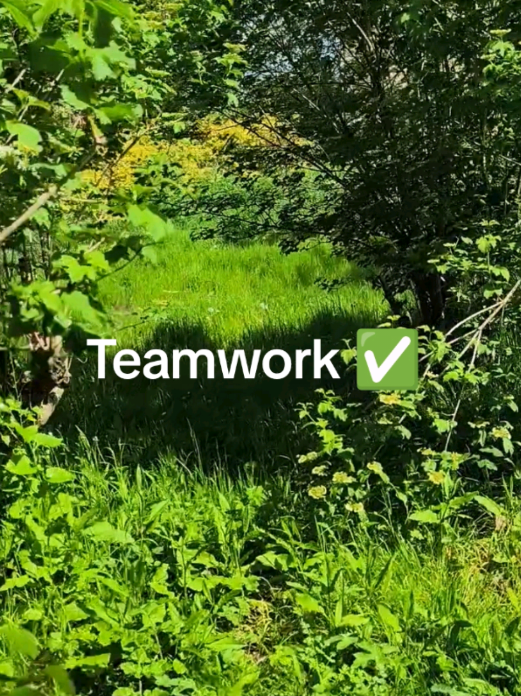 @Teamwork