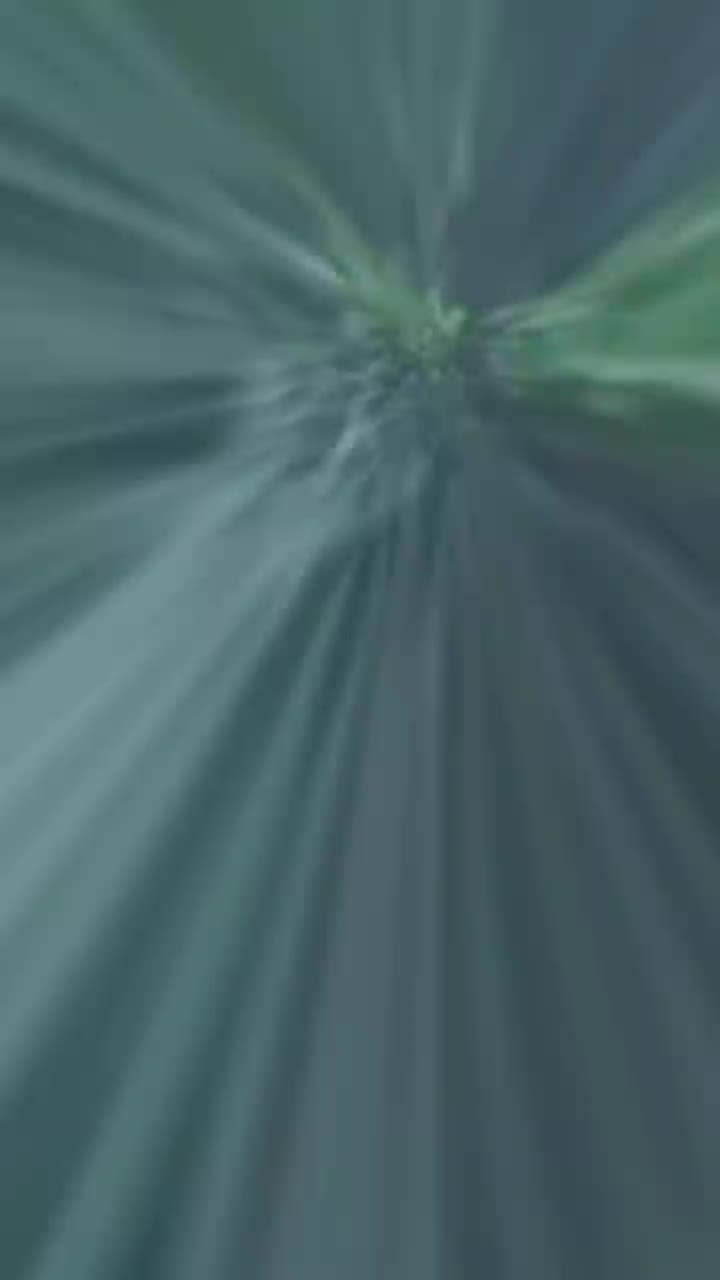 @فانز محمد شيخ