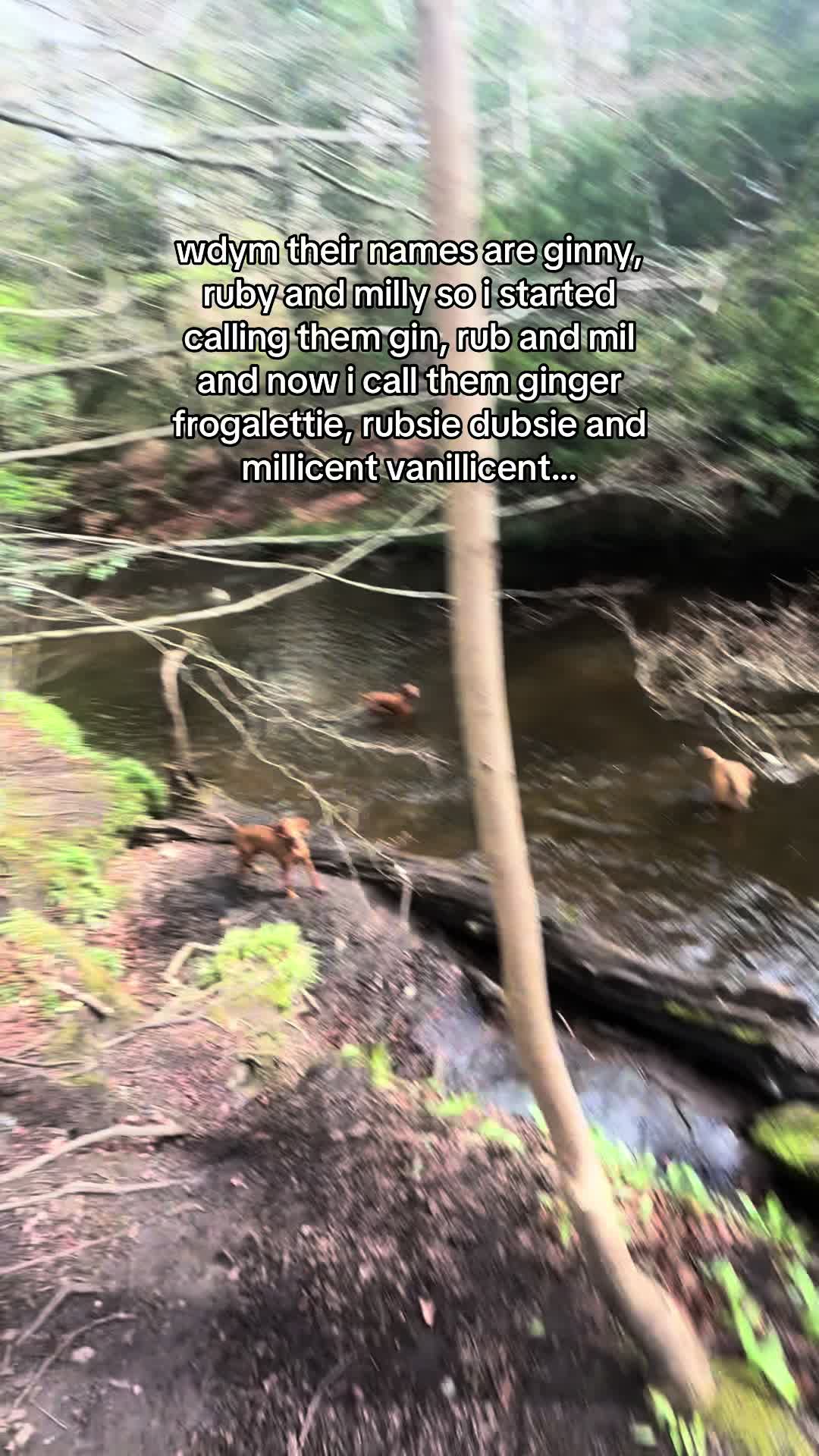 @el