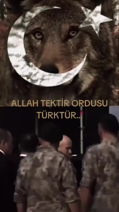 @🇹🇷🦈 Yavuz Ayık