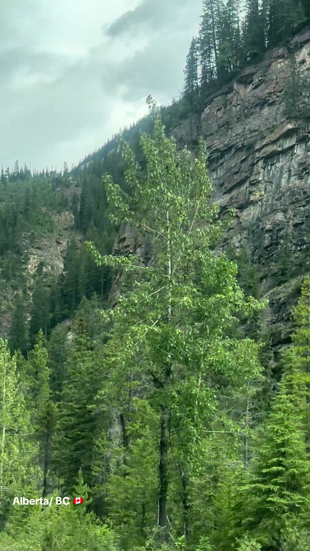 @Ada 🇨🇦