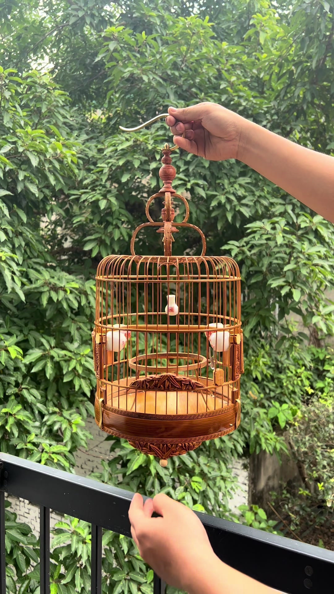 @Lồng Chim Đẹp