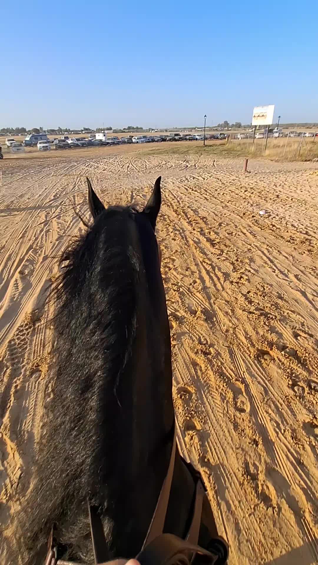 @José_Amodeo_013