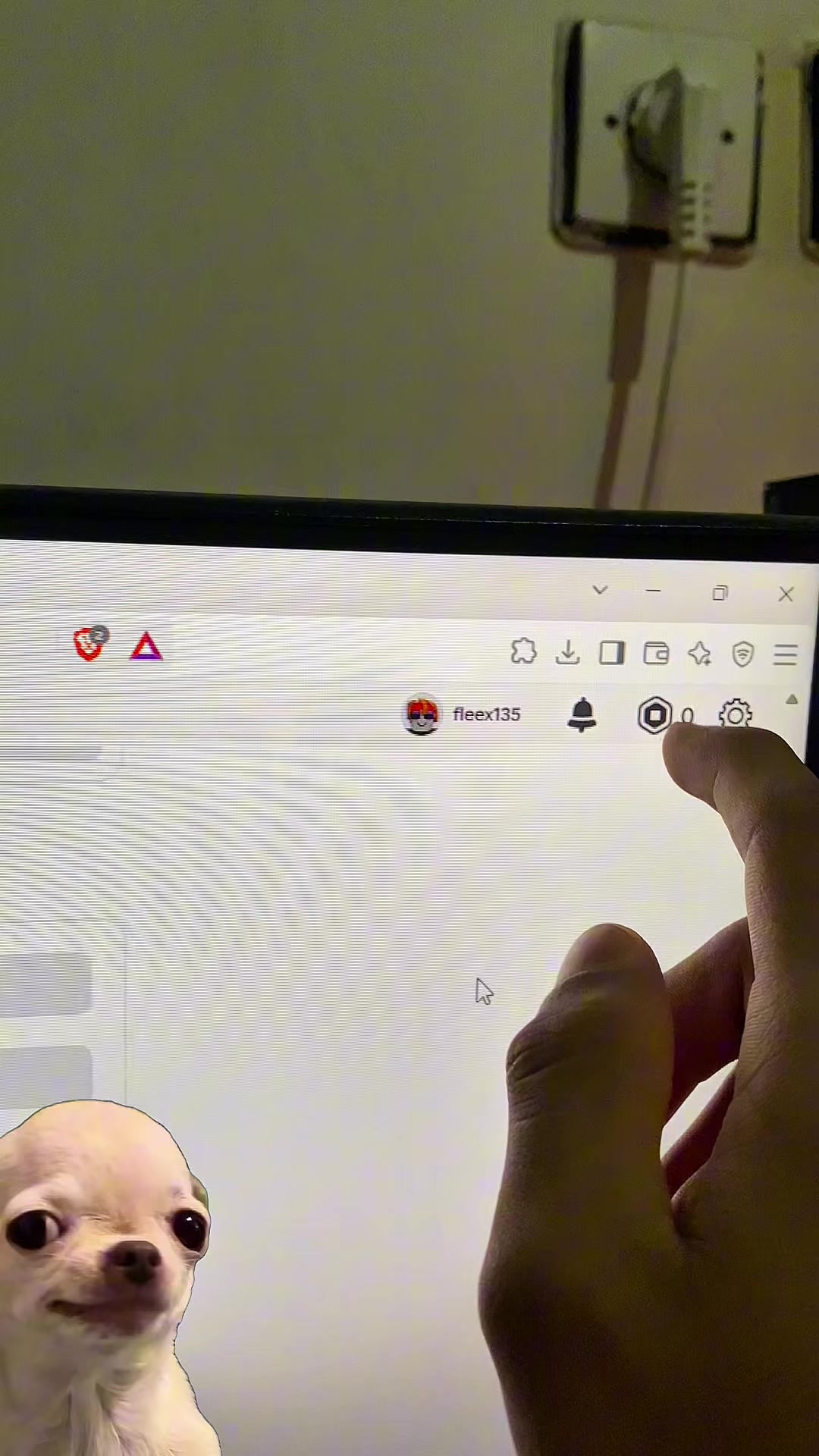 @fleex.rbx