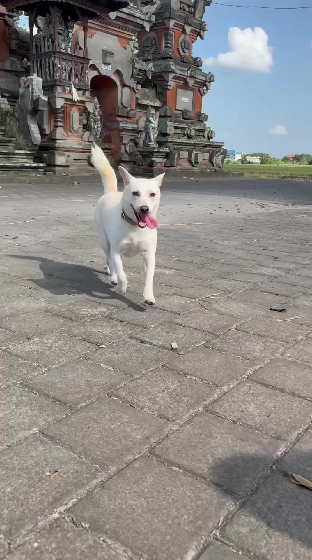 @littlestepsmatter.bali