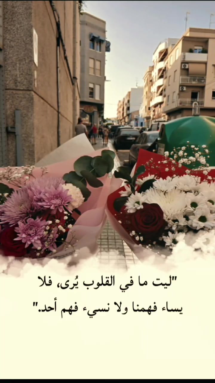 @siham ben ahmed