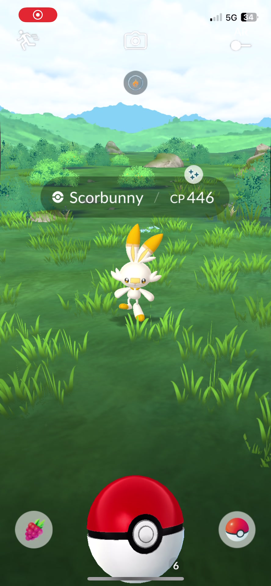 @pokebloxy