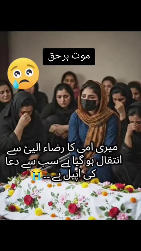 @ranikhan