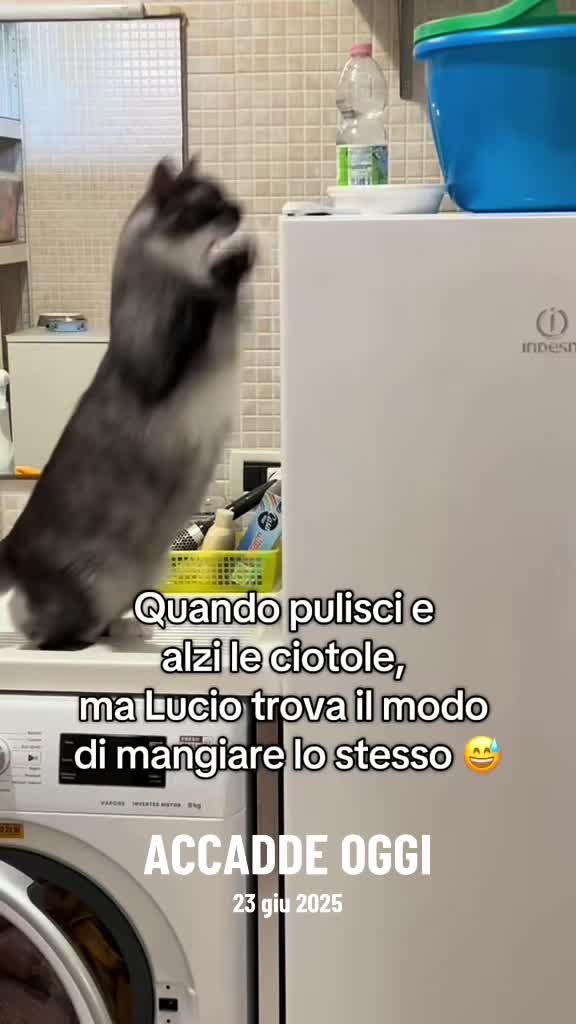 @Mariolover and friends
