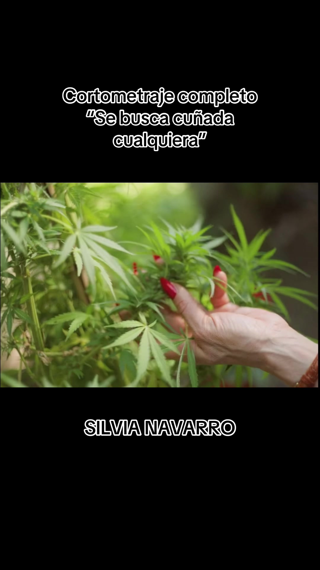 @navarrofanss_