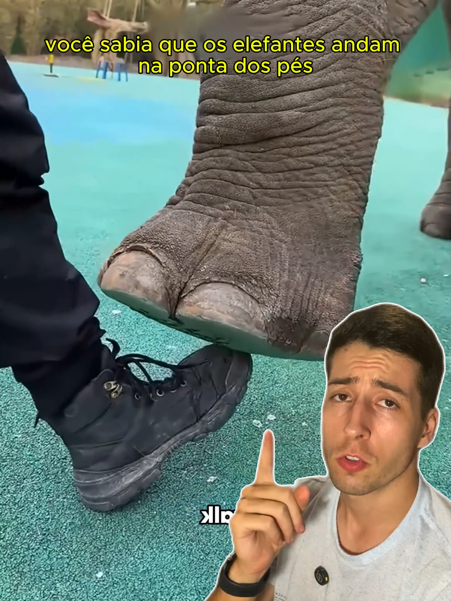 @Andre Dodorico