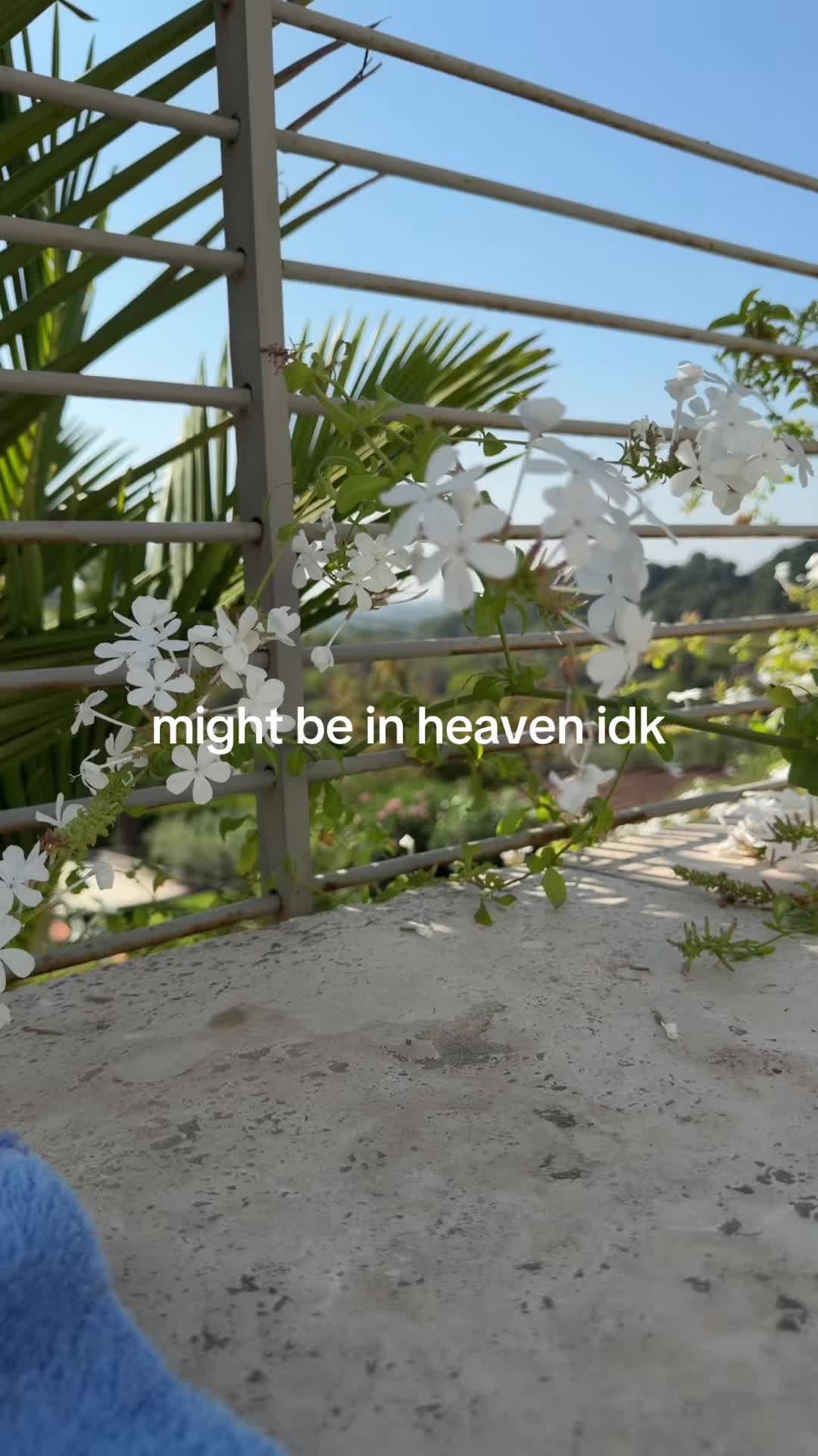 @dounia ★彡