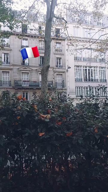@is L&egrave;m 🇨🇵💪🔫