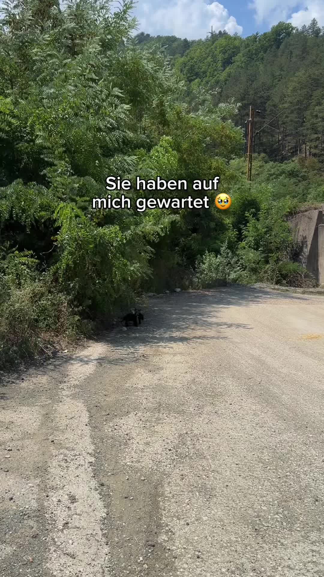 @natürlich patrik