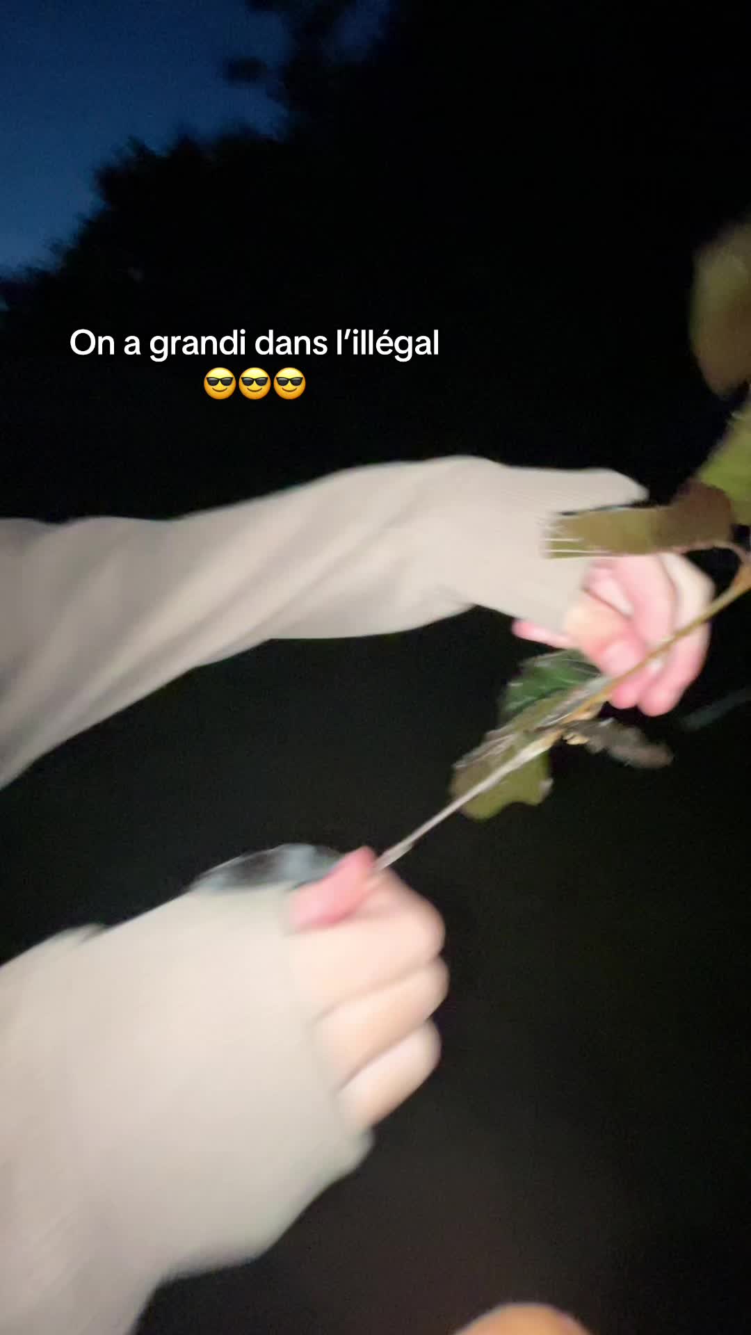 @เป