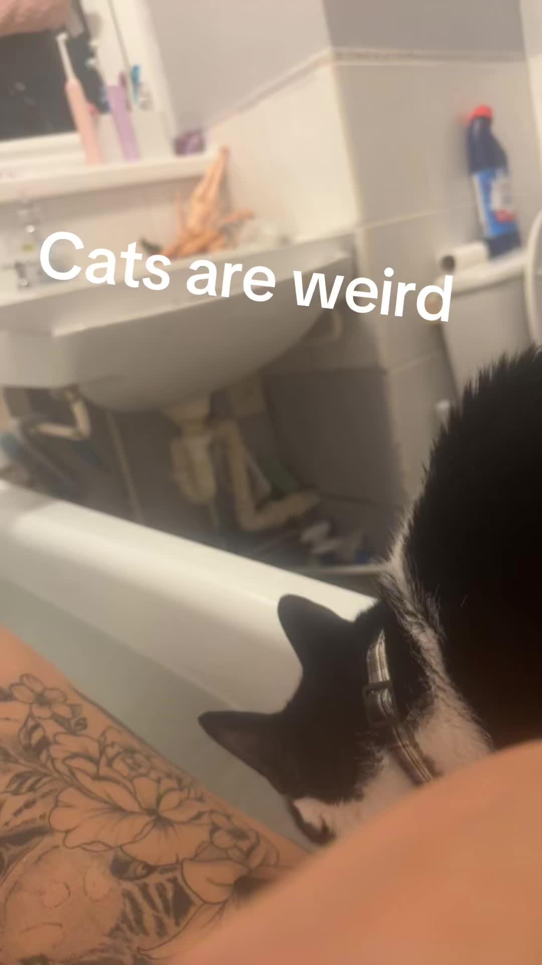 @ðâšRoxanneð«¶ðŒPjQueenâšð