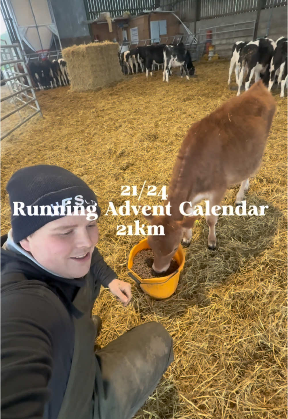 @Scotty&rsquo;s Farm