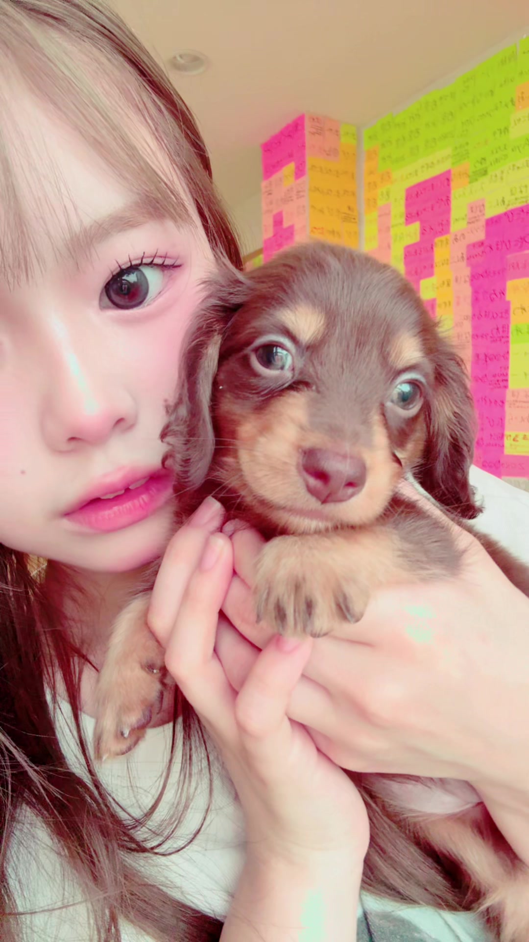 @田中陽莉【ひより】