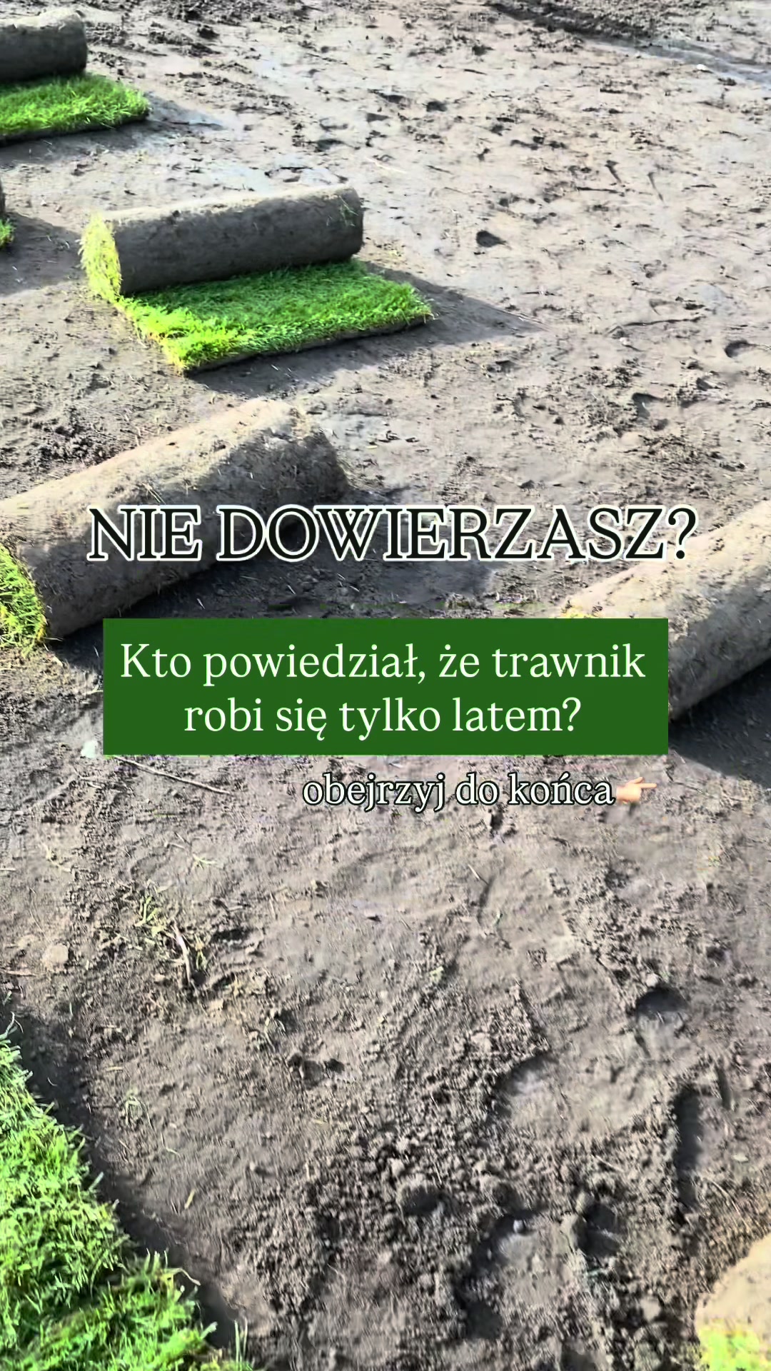 @miksza.ogrody