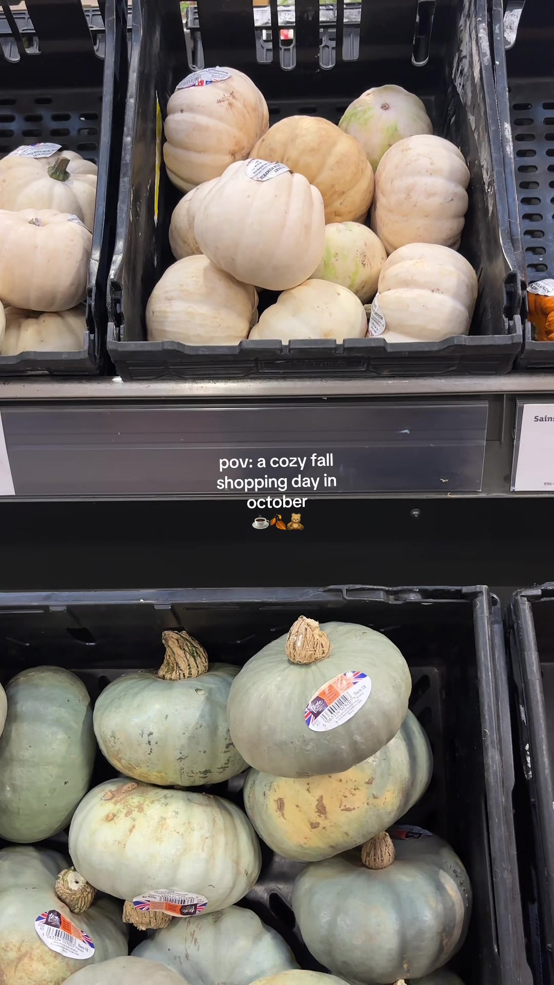 @george ⋆˙⟡