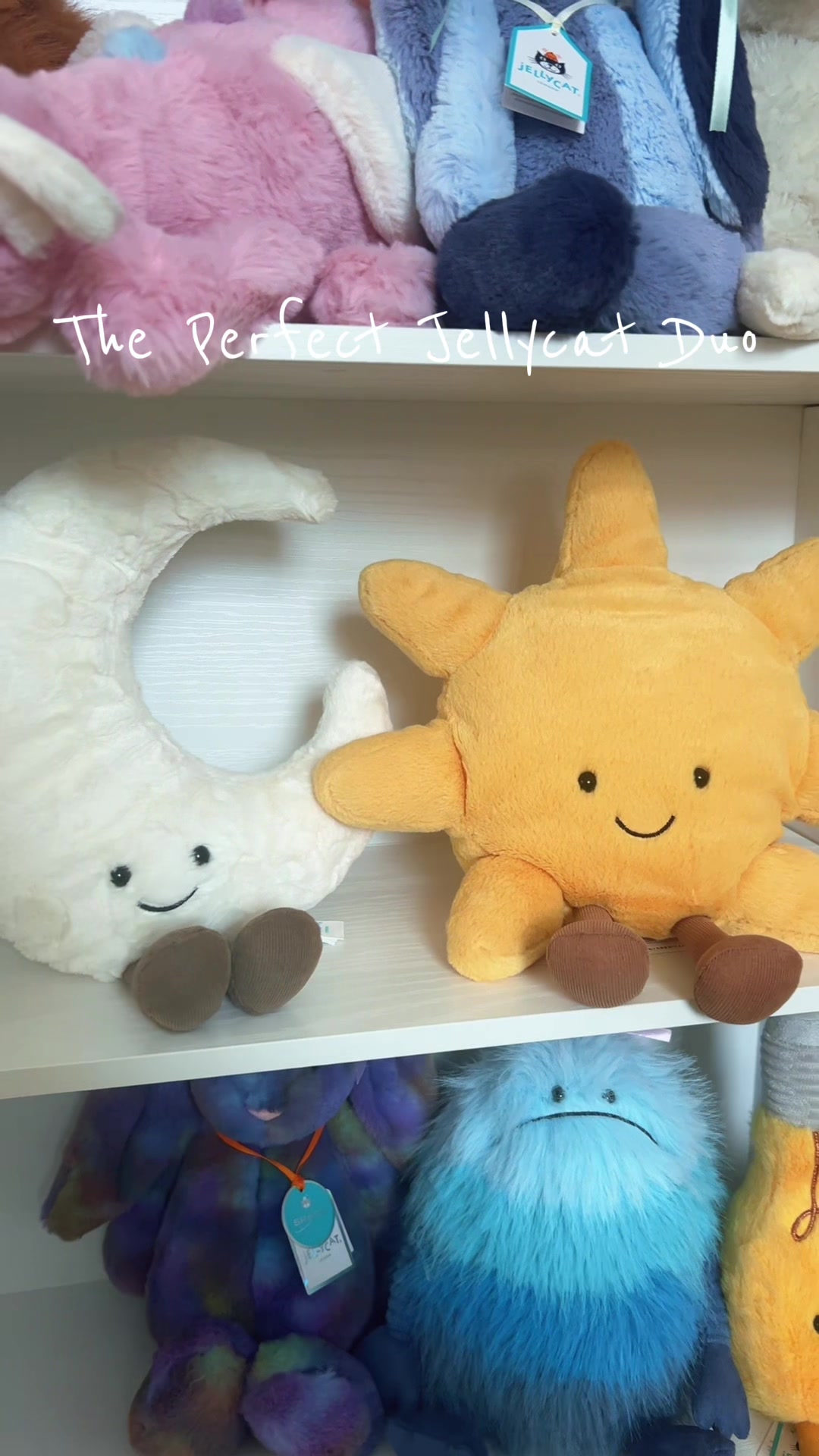 @DarceysJellycats✨