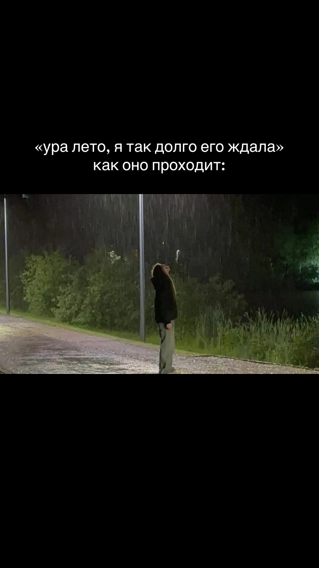 @pollillo_029