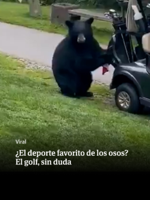 @El Diario Vasco