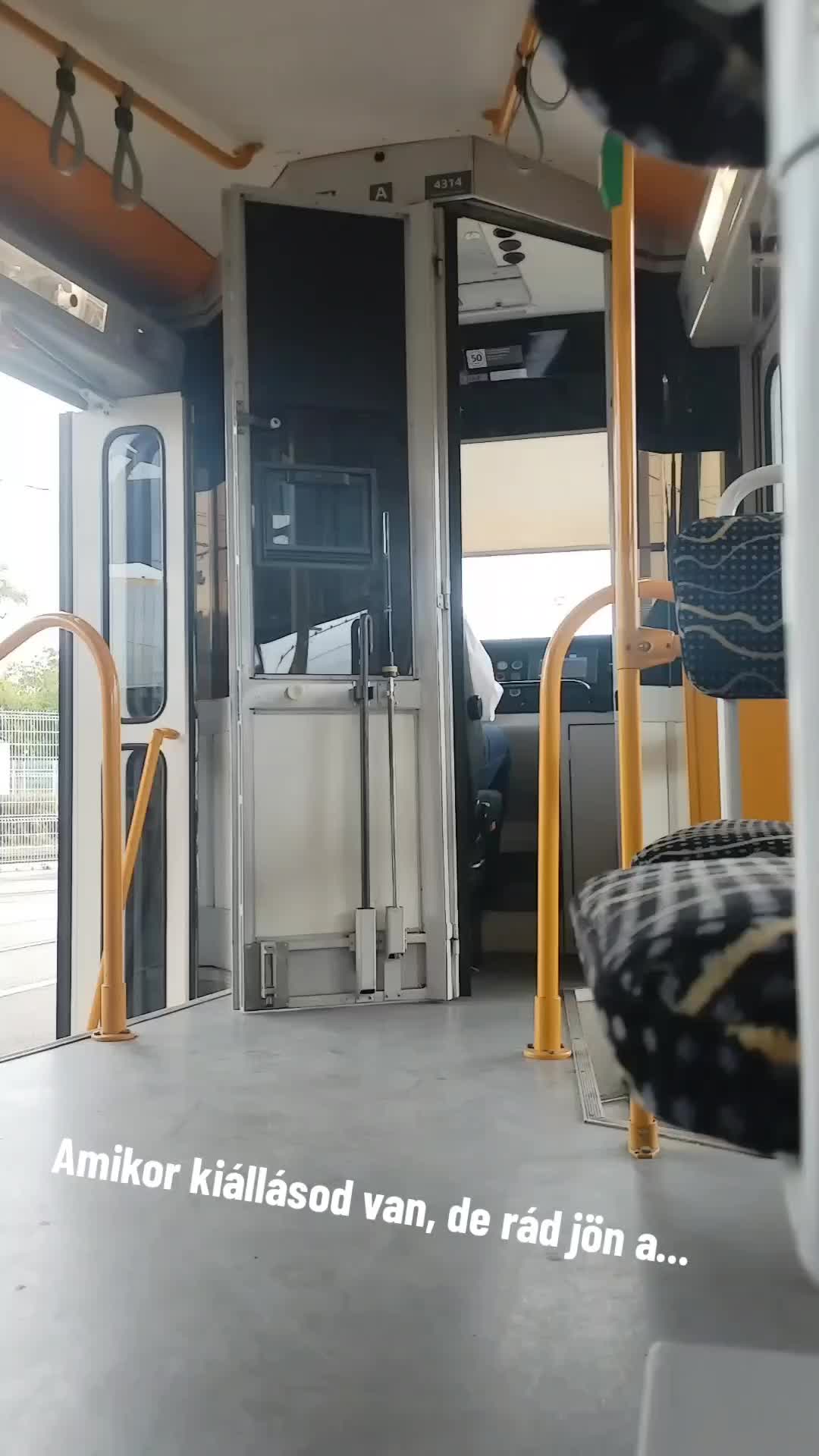 @Dobos Máté