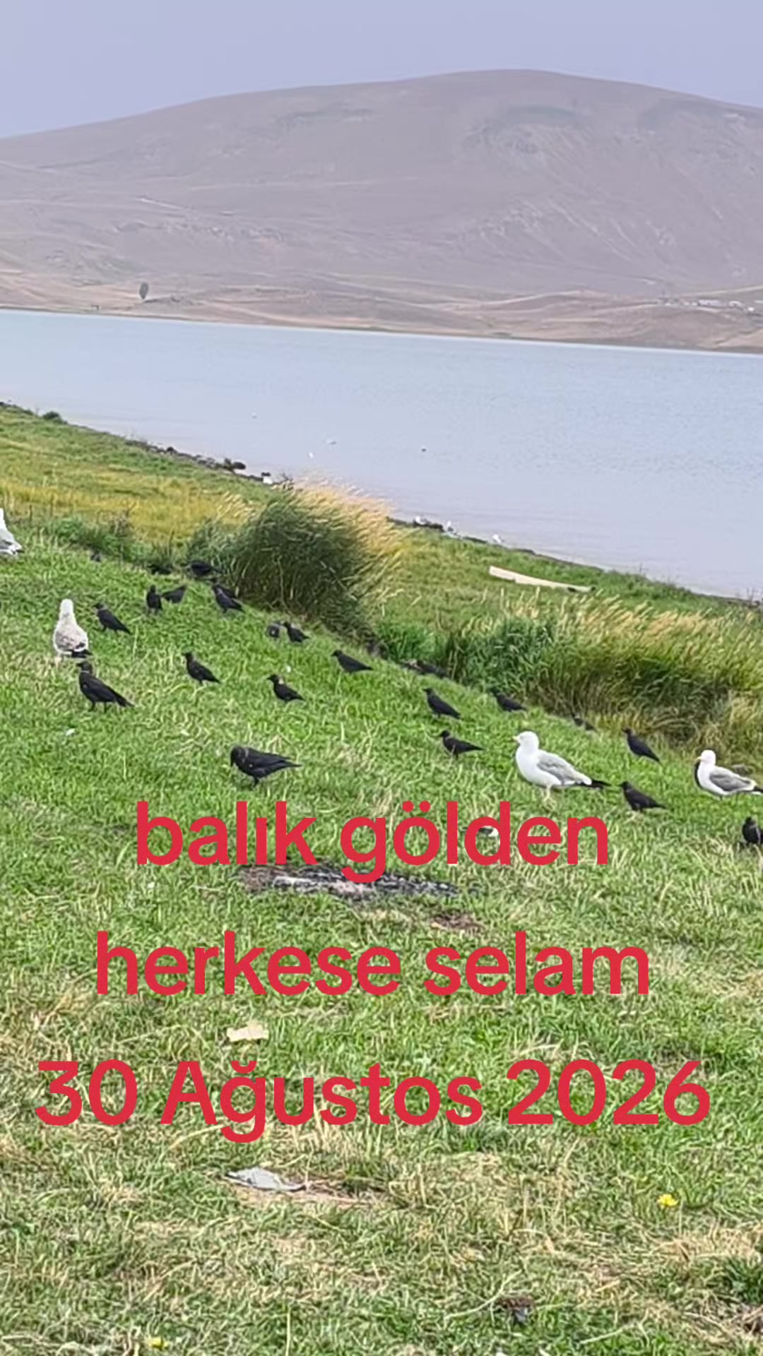 @Z,,, A,,, 0434