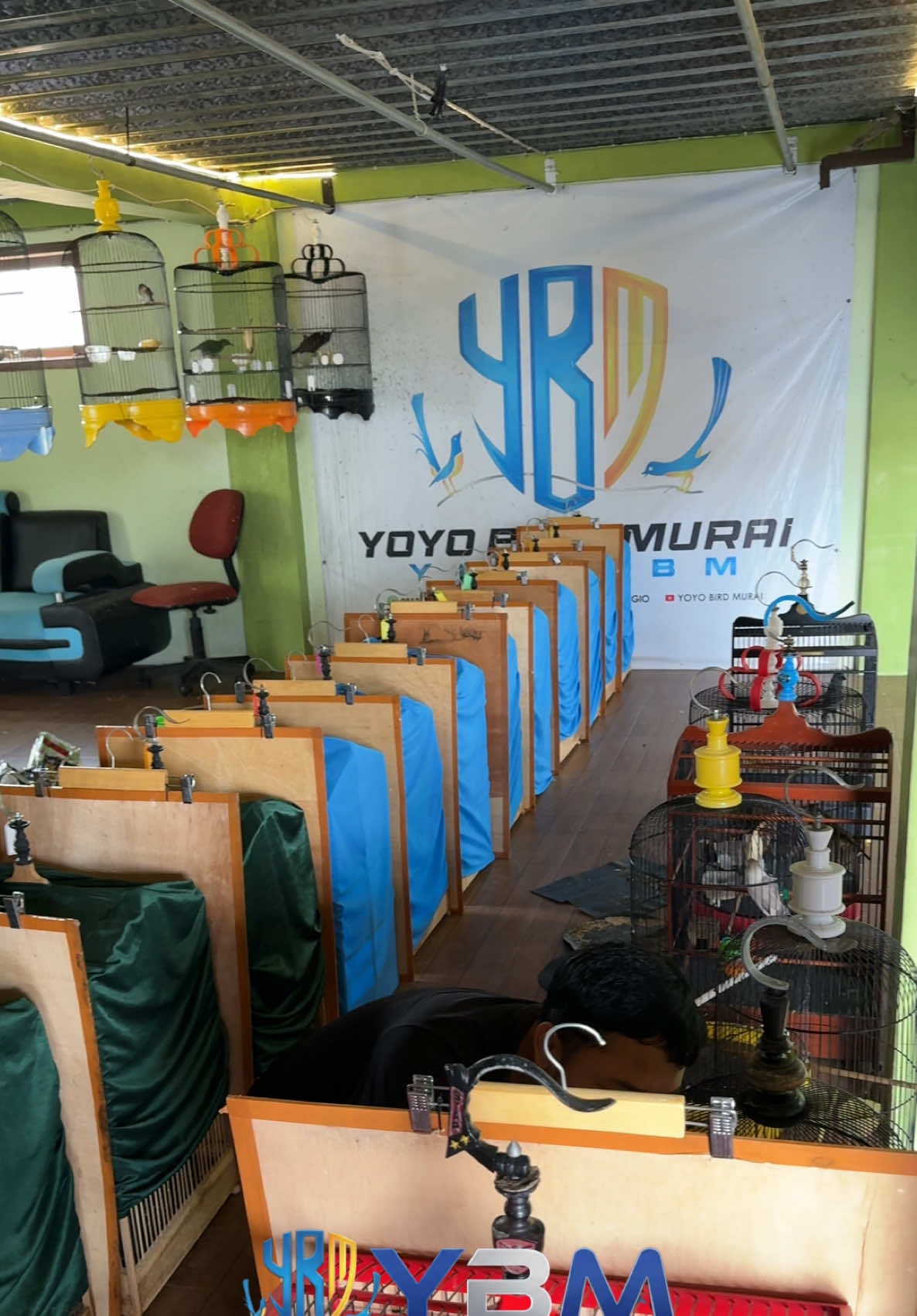 @YOYO SUBAGIO 2