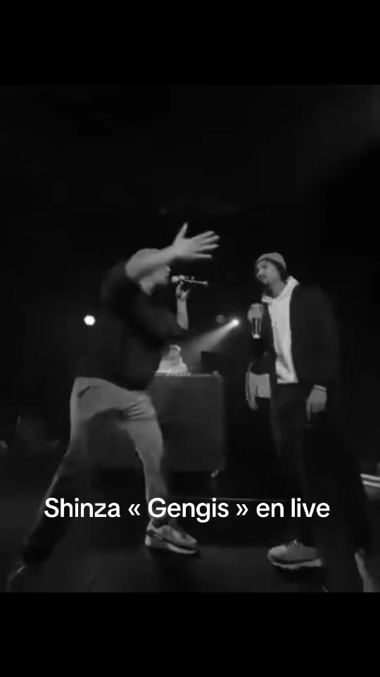@shinzagoemon