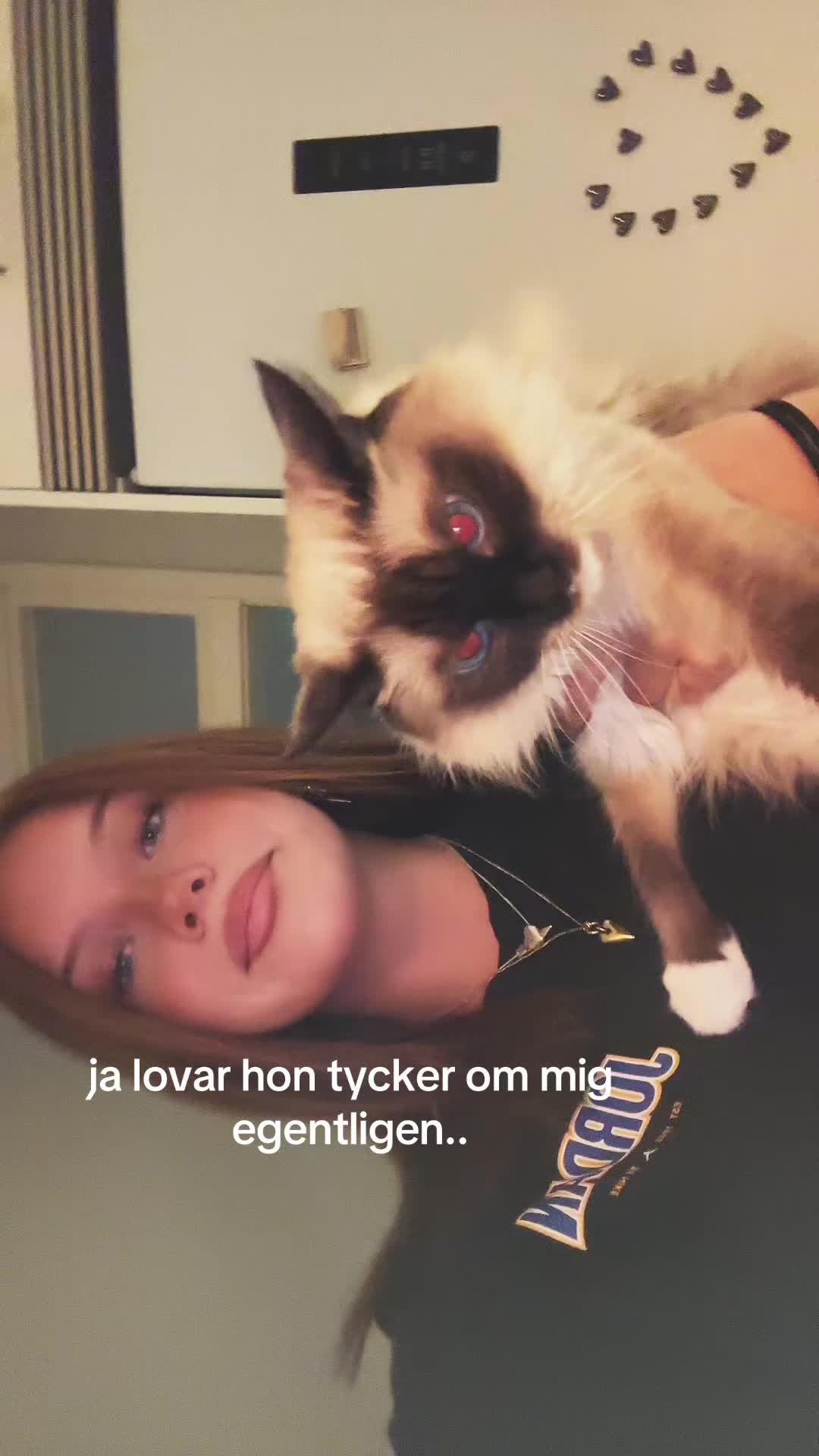 @losantrosan69