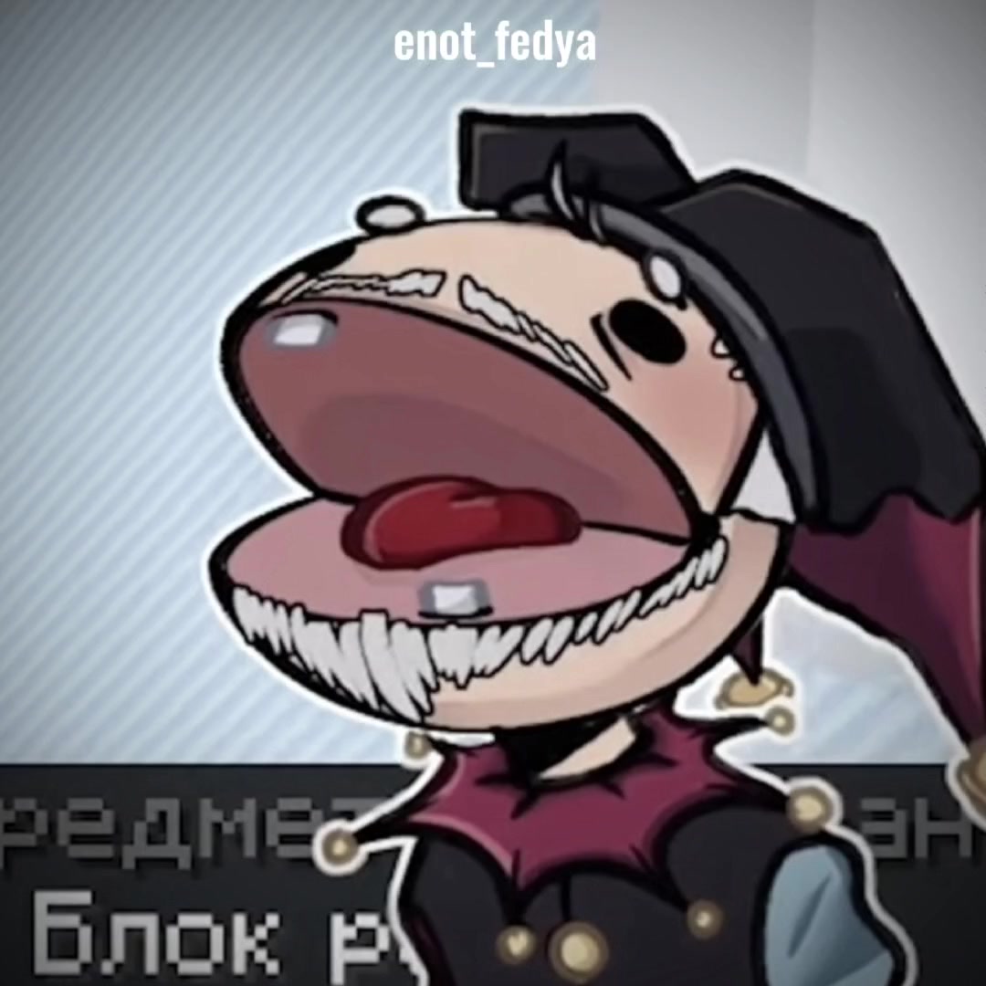 @☆Енотик федя☆