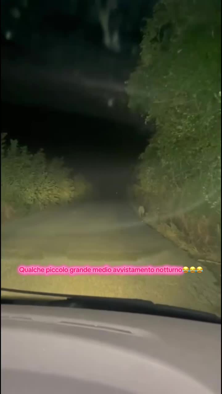 @Giovanni Suppa566