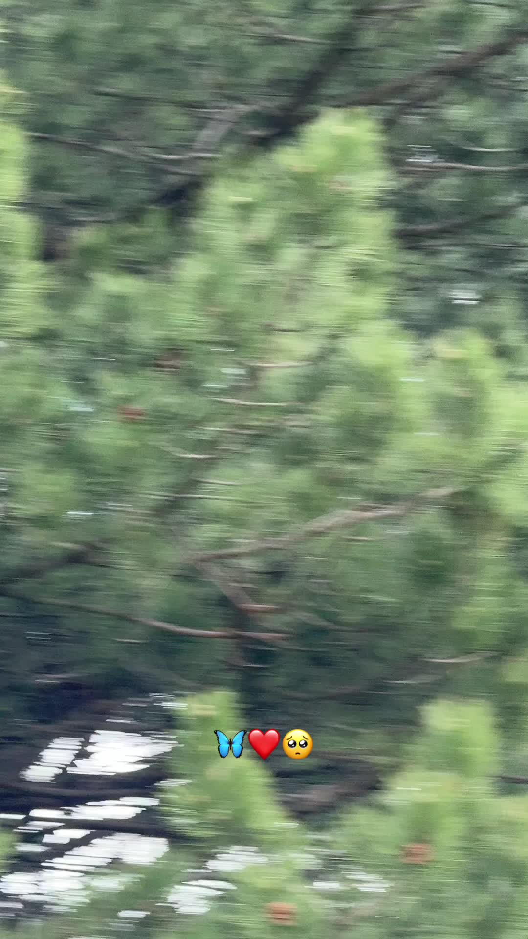 @𝐃𝐀𝐑𝐌𝐀𝐍🦋