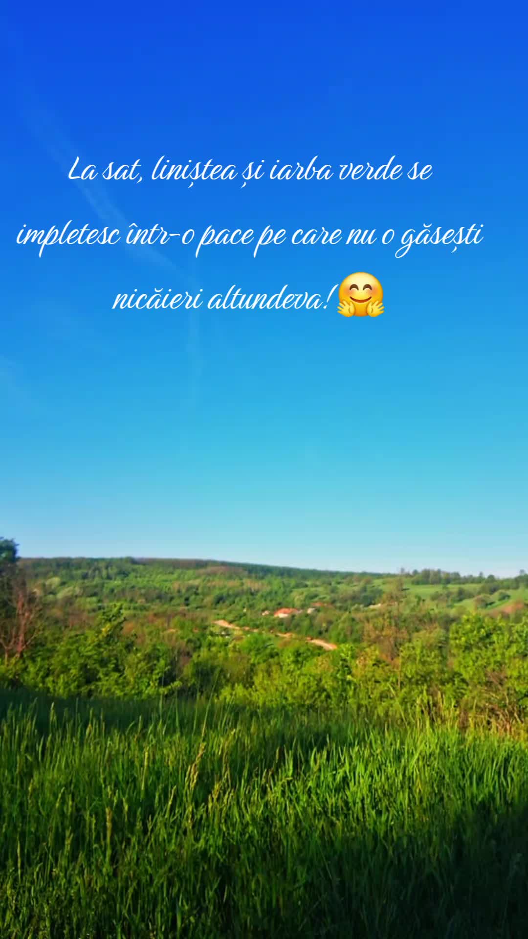 @Cristina Nicolicea